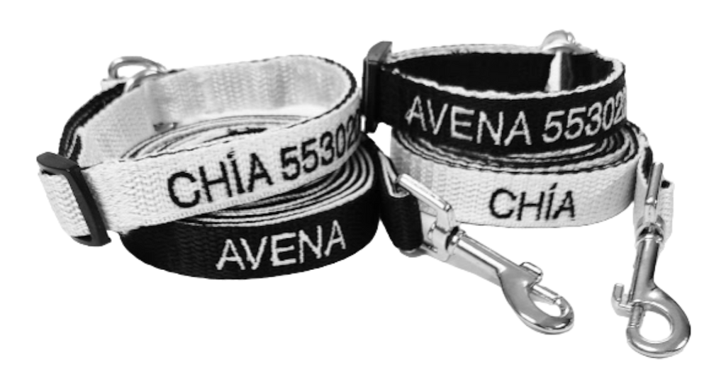 KIT Forzza Perro - Collar + Correa + Envío de Regalo