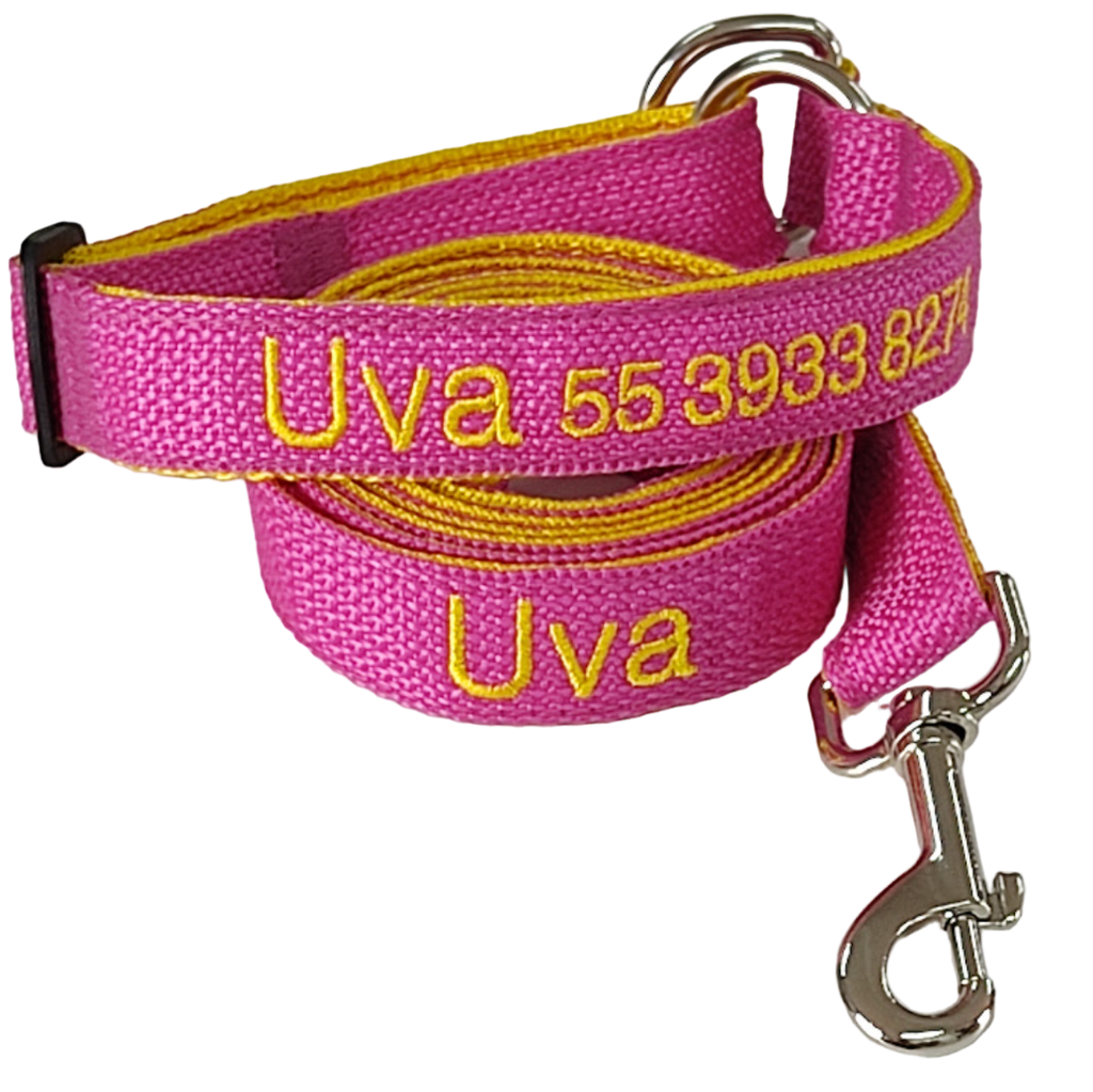 KIT Forzza Perro - Collar + Correa + Envío de Regalo