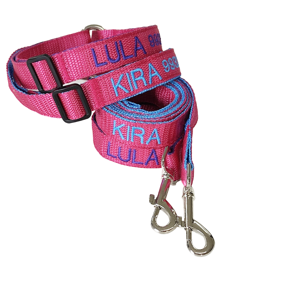 KIT Forzza Perro - Collar + Correa + Envío de Regalo