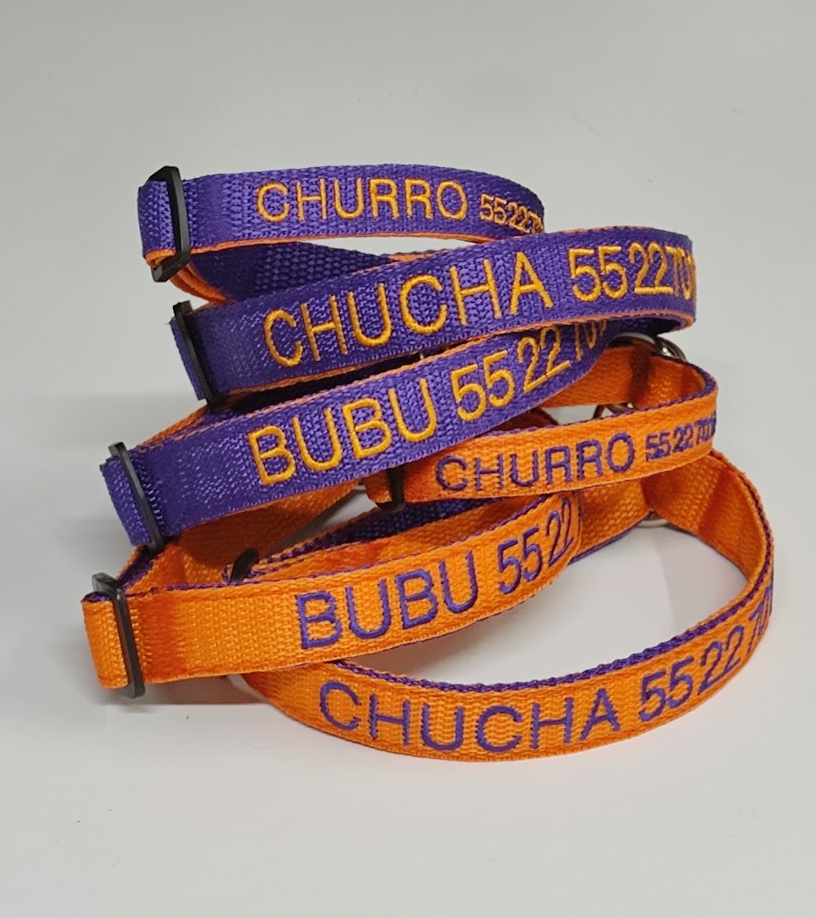 Collar Forzza Perro