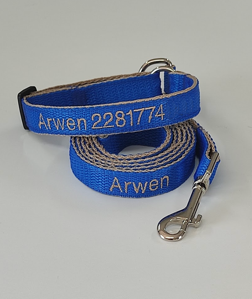 KIT Forzza Perro - Collar + Correa + Envío de Regalo