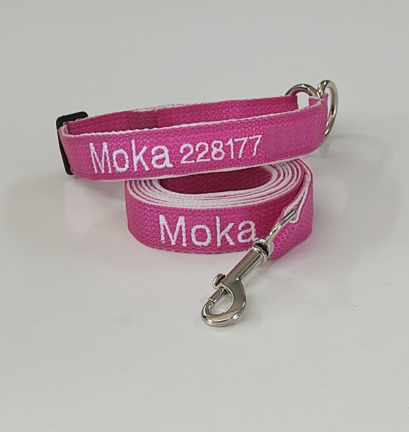 KIT Forzza Perro - Collar + Correa + Envío de Regalo