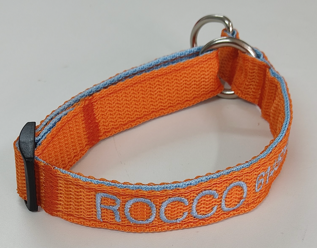 Collar Forzza Perro