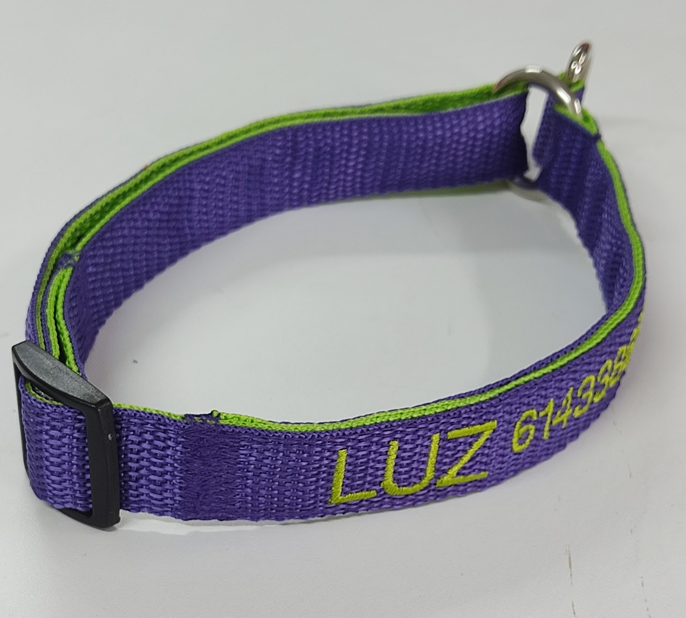Collar Forzza Perro