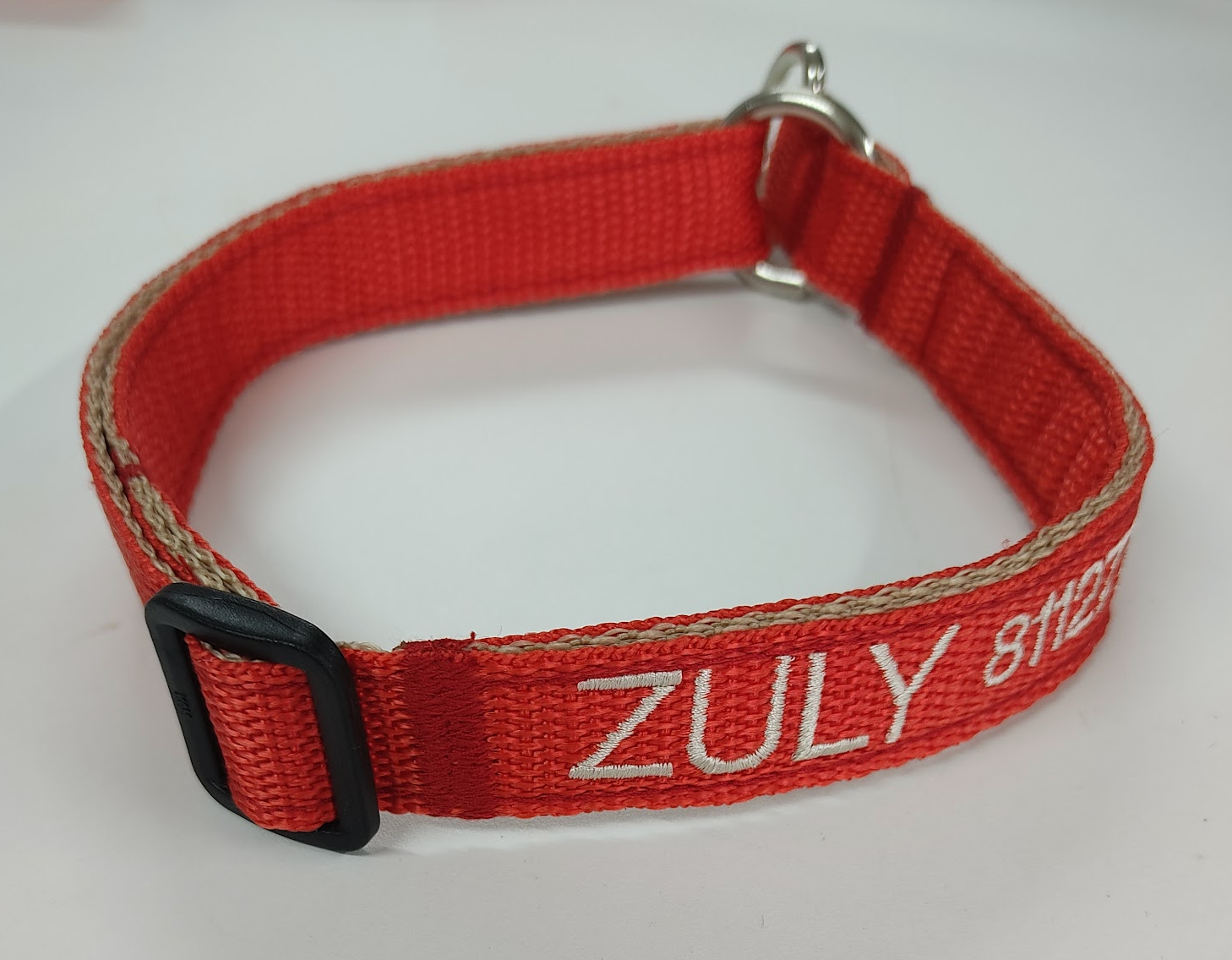 Collar Forzza Perro