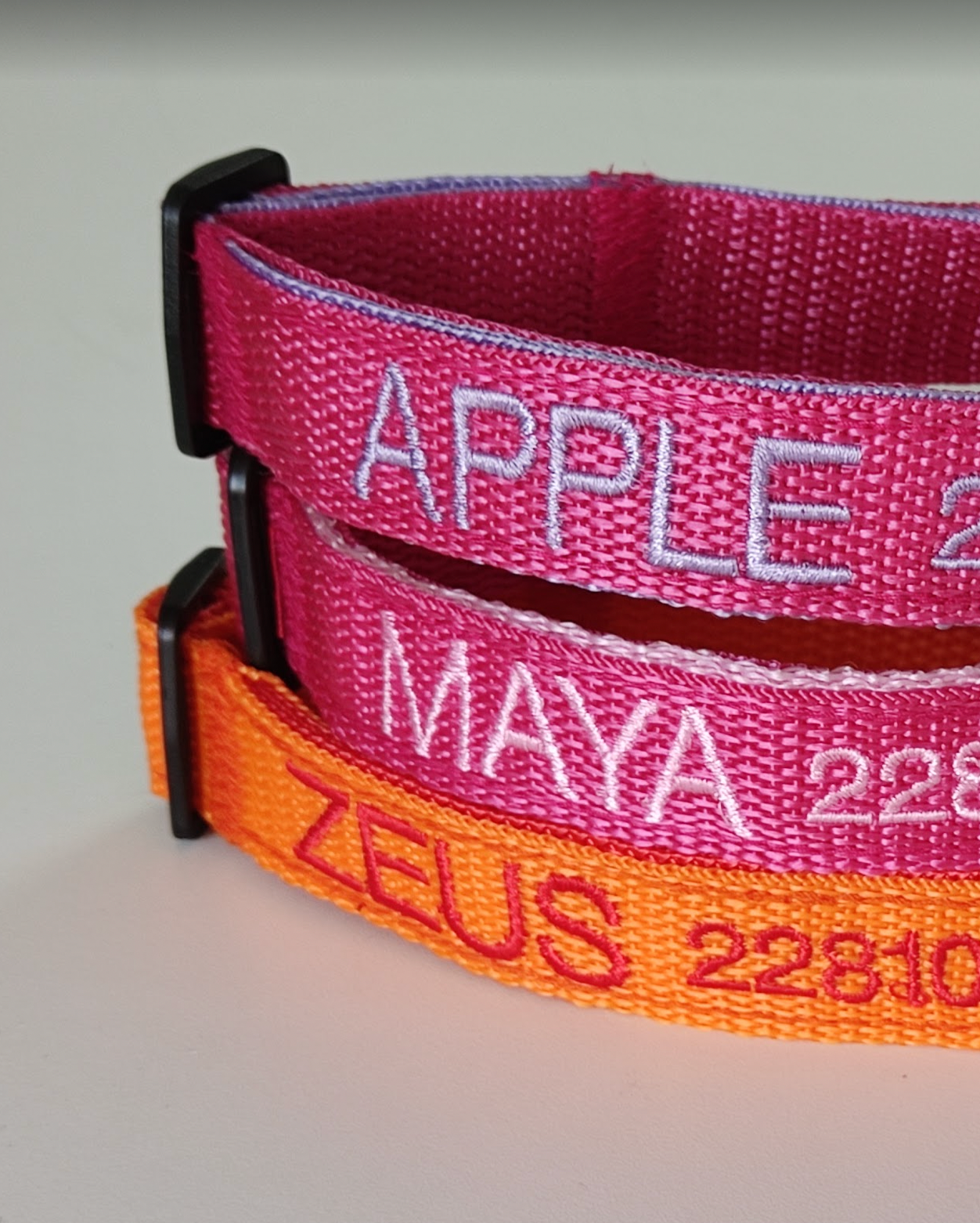 Collar Forzza Perro