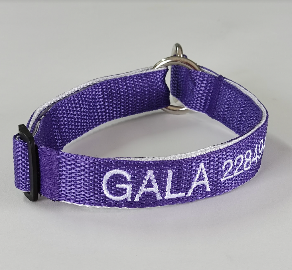 Collar Forzza Perro