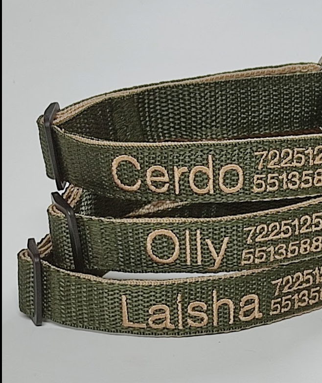 Collar Forzza Perro