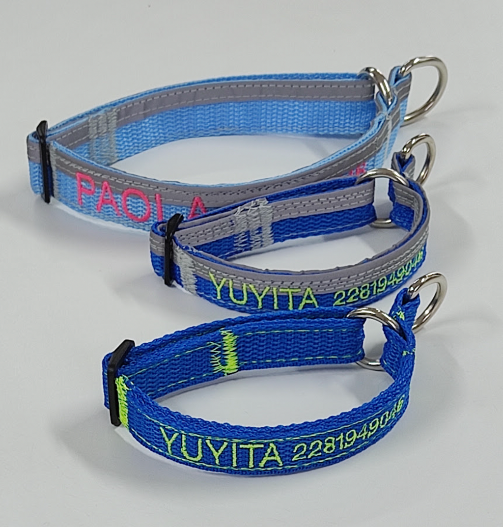 Collar Forzza Perro