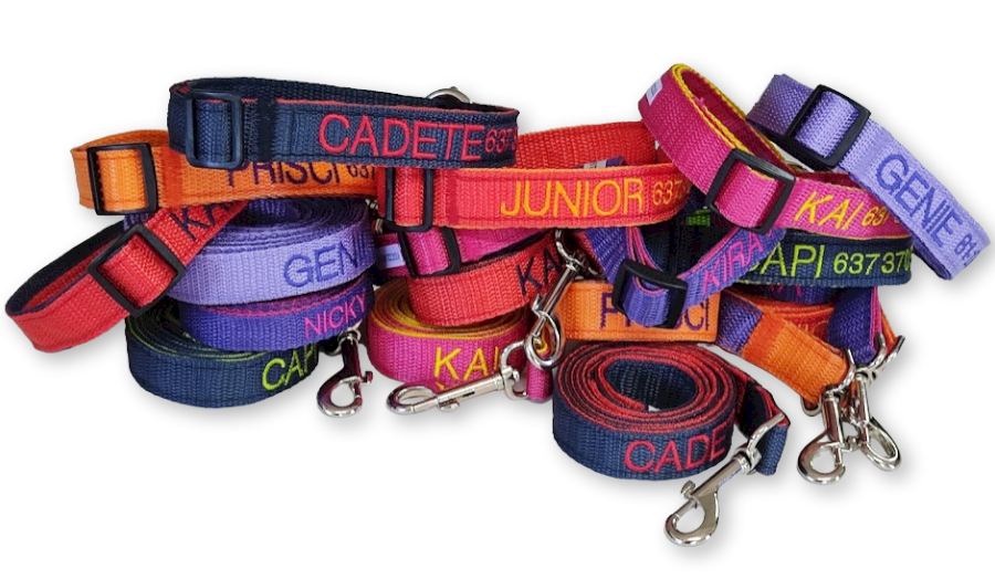 KIT Forzza Perro - Collar + Correa + Envío de Regalo