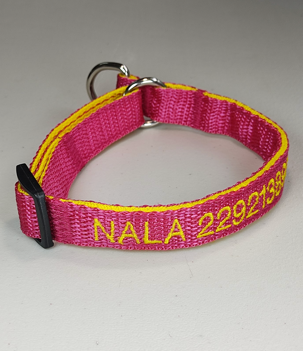 Collar Forzza Perro