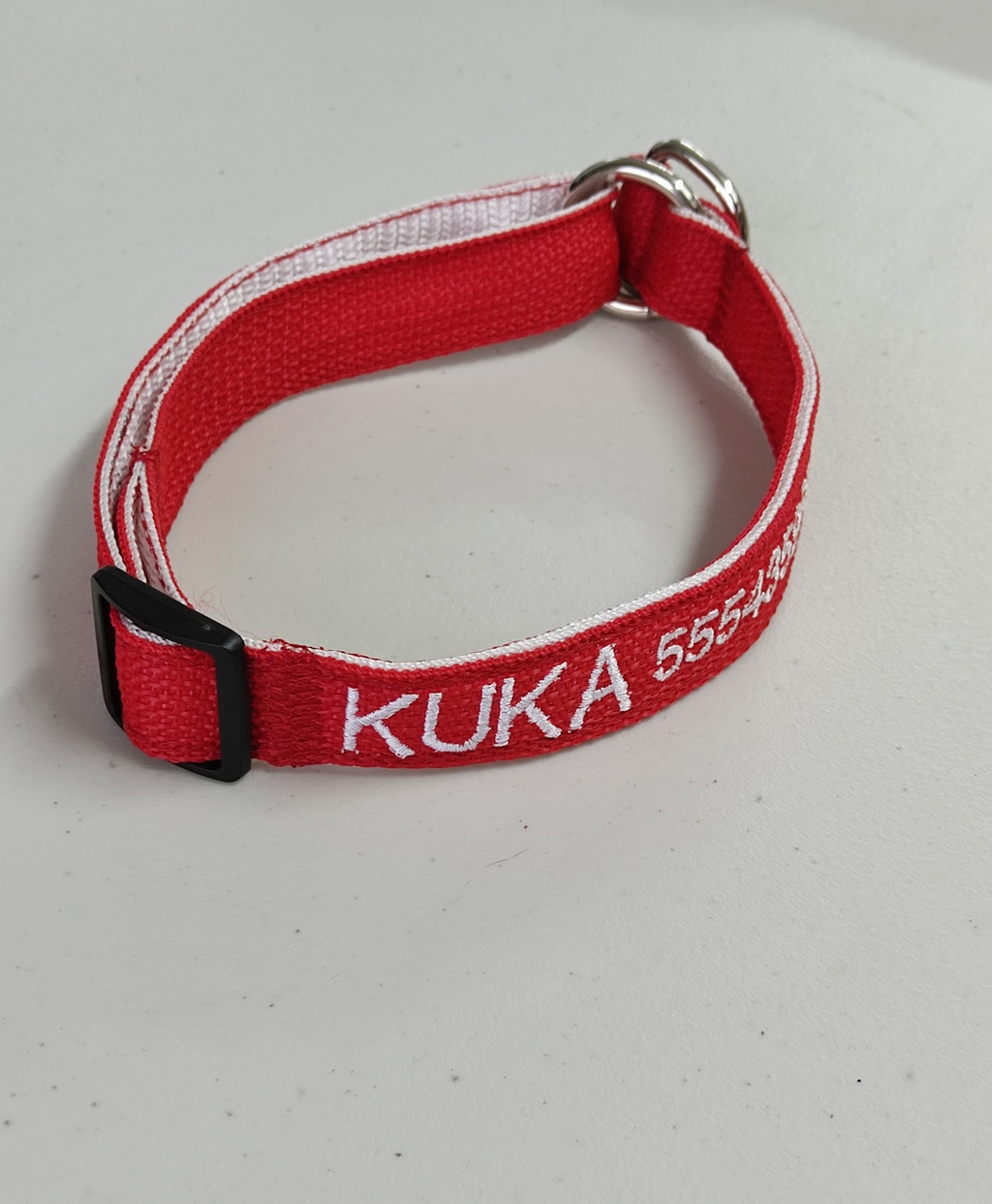 Collar Forzza Perro