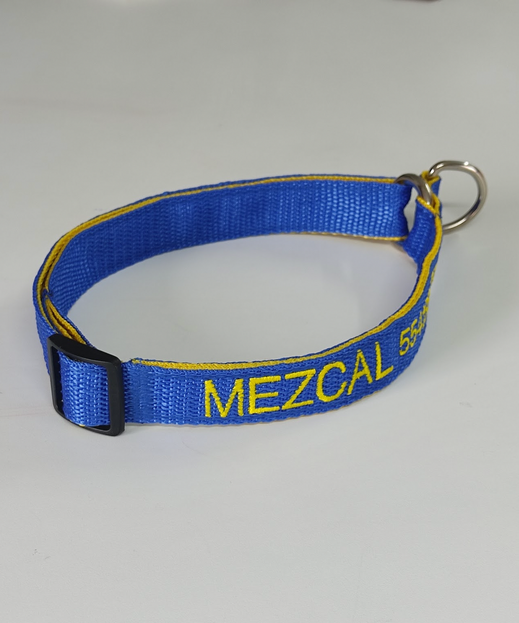 Collar Forzza Perro