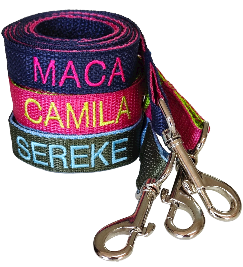 Correa Forzza Perro