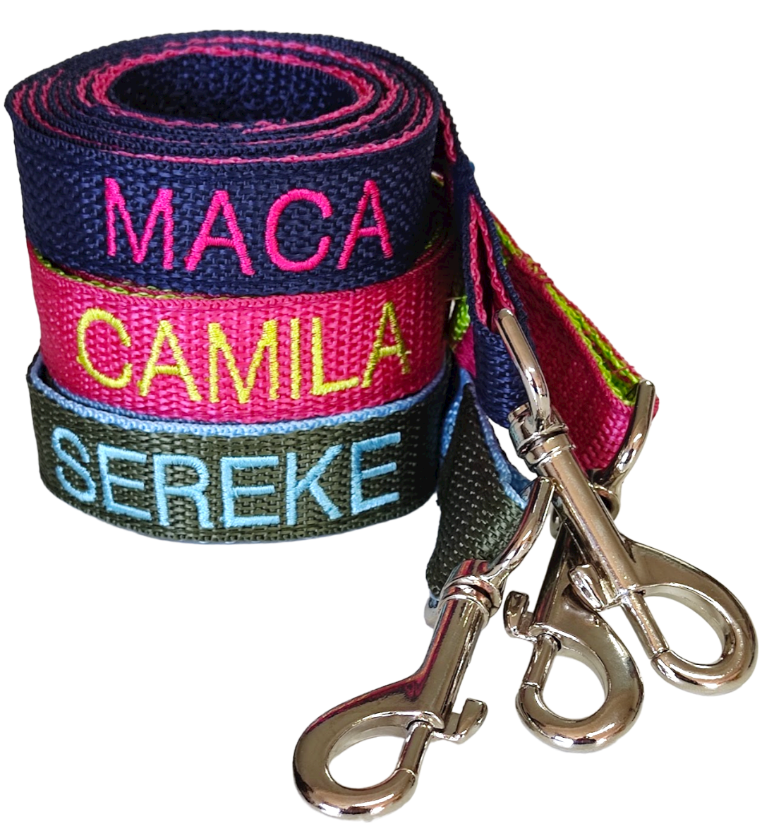 Correa Forzza Perro