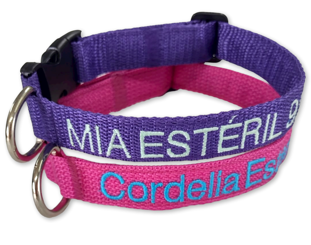 Collar Cinta Perro