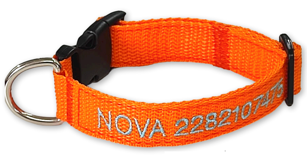 Collar Cinta Perro