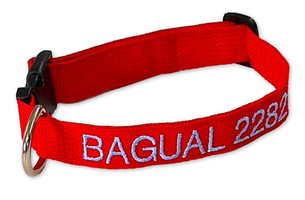 Collar Cinta Perro