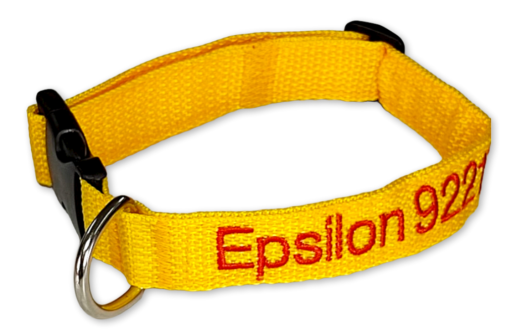 Collar Cinta Perro
