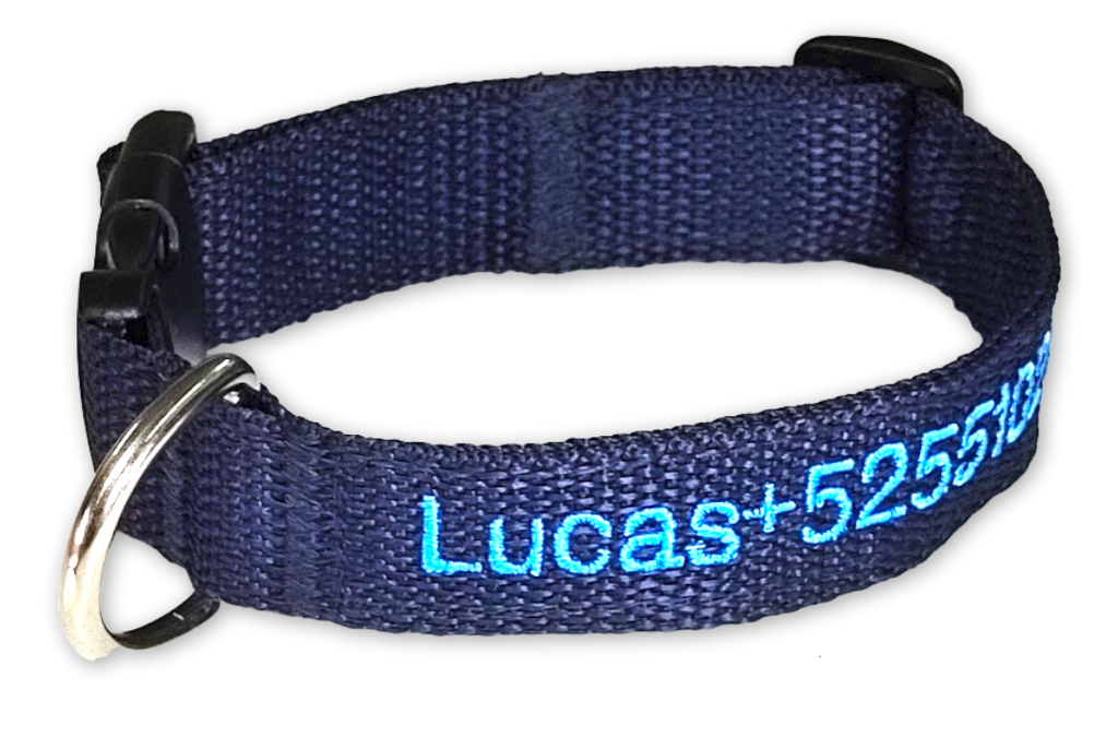 Collar Cinta Perro