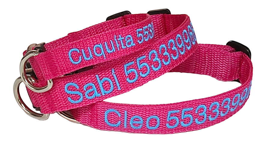 Collar Cinta Perro