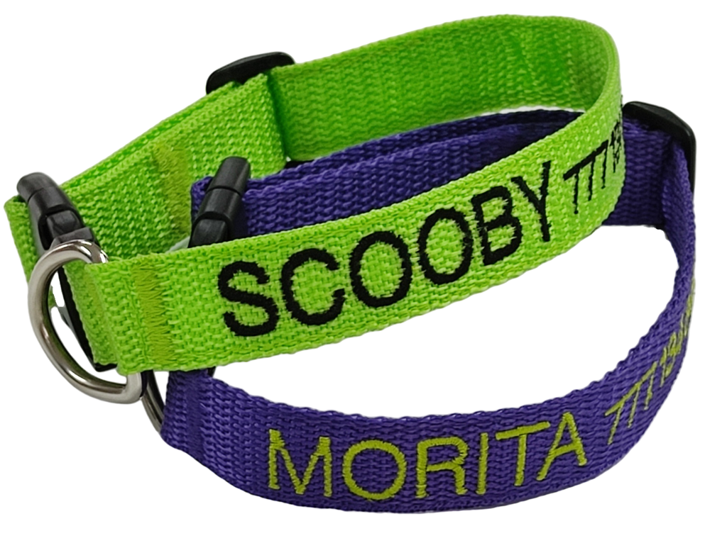 Collar Cinta Perro