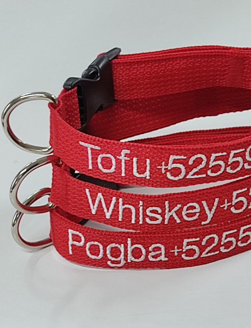 Collar Cinta Perro