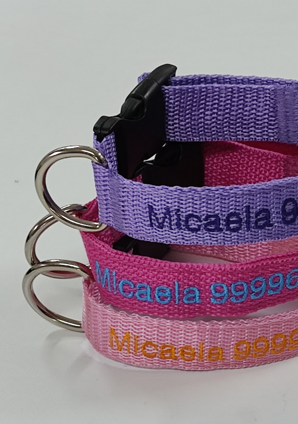 Collar Cinta Perro