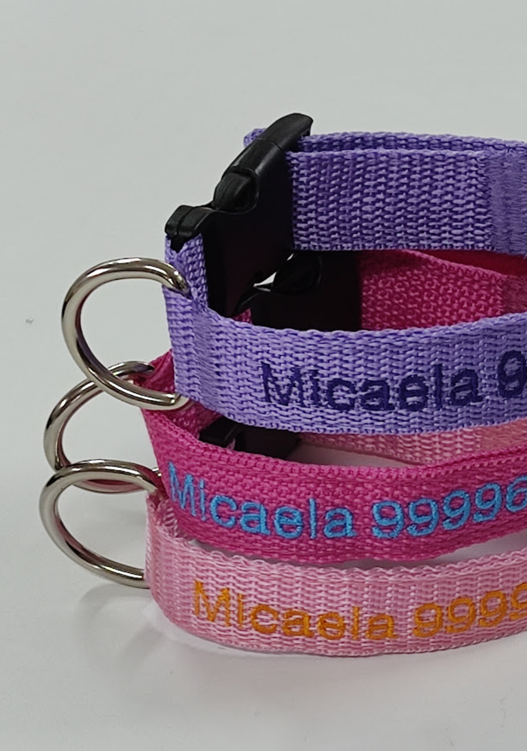 Collar Cinta Perro