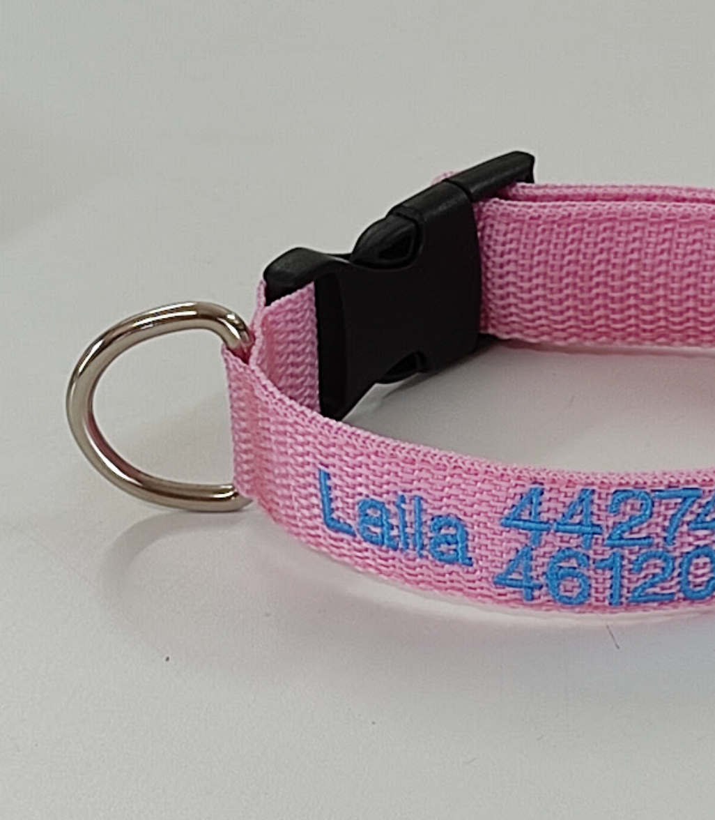 Collar Cinta Perro