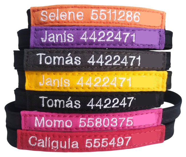 Collar Tela Mini Perro