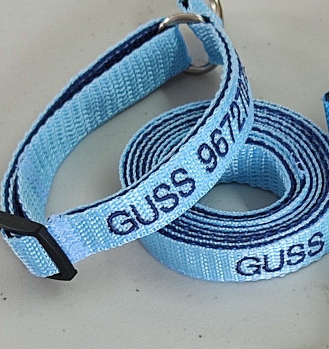 Collar Cinta Perro