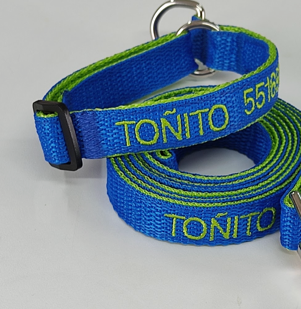 Collar Cinta Perro