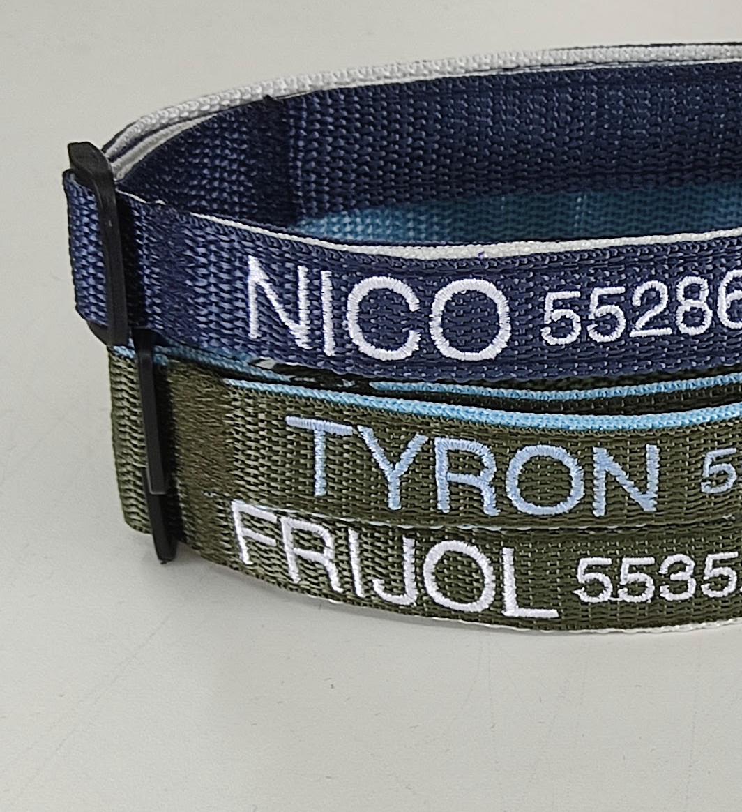 Collar Cinta Perro