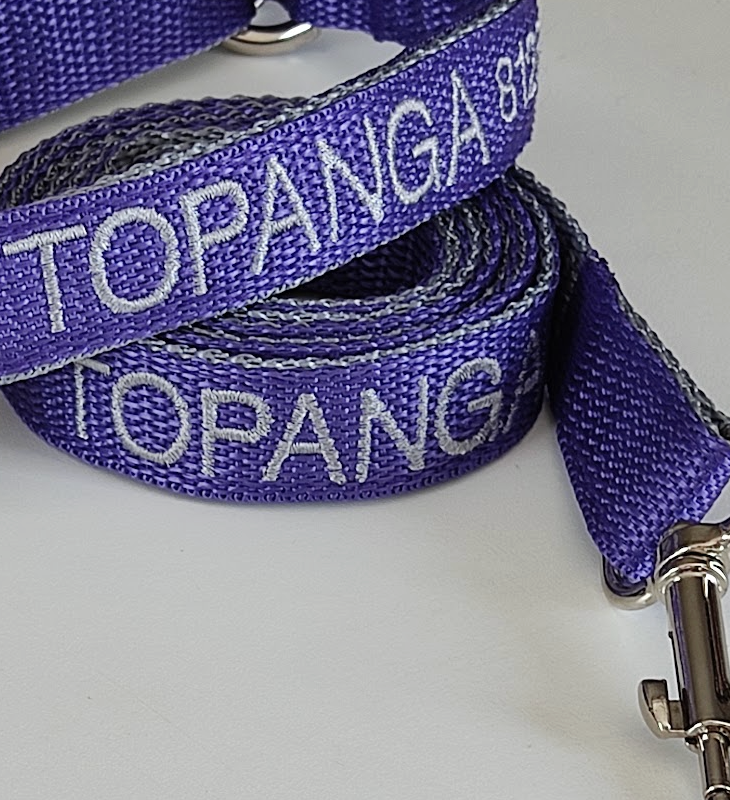 Collar Cinta Perro
