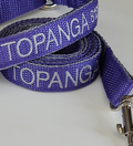 Collar Cinta Perro