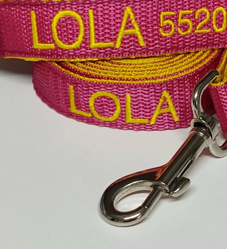 Collar Cinta Perro
