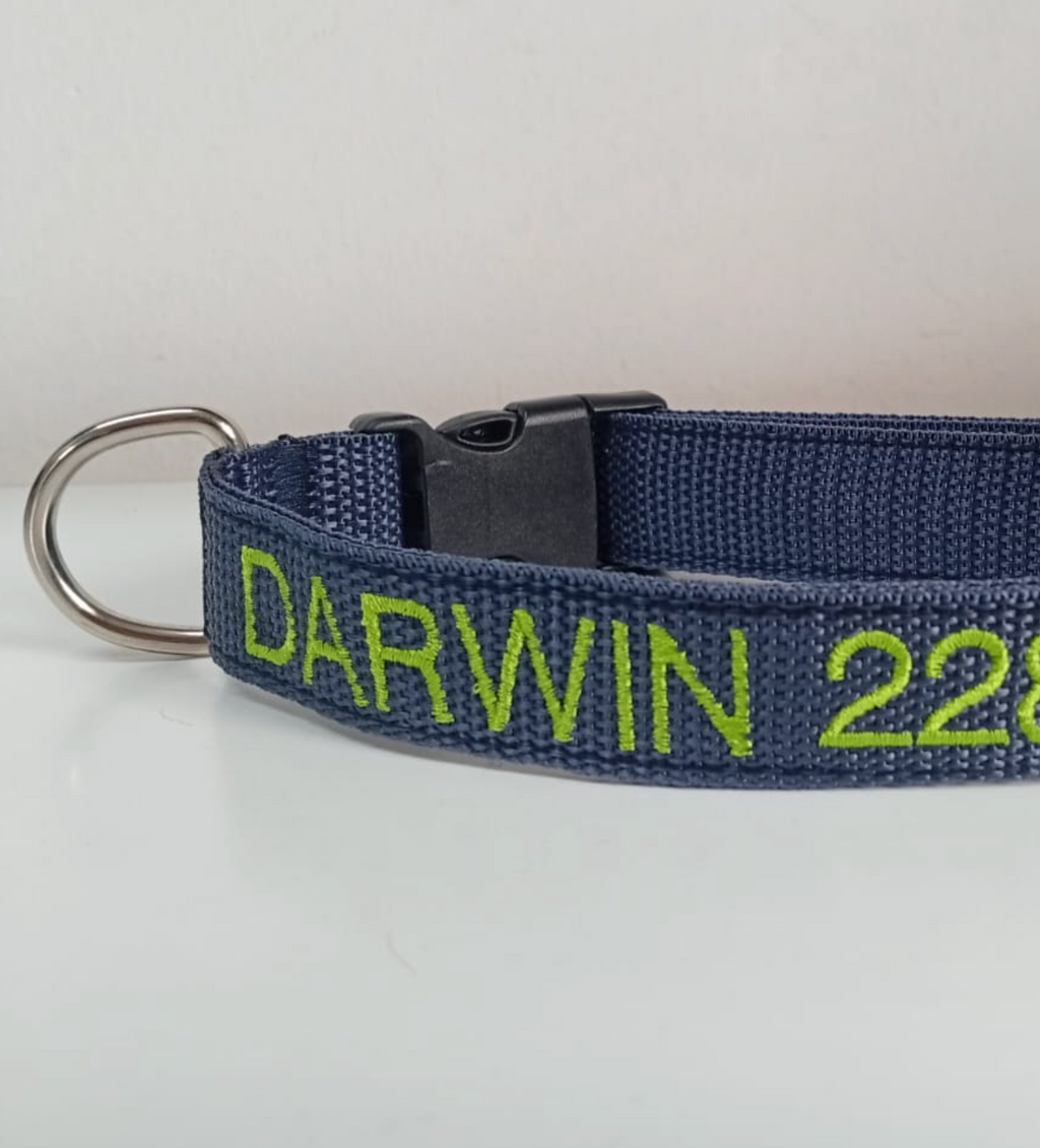 Collar Cinta Perro