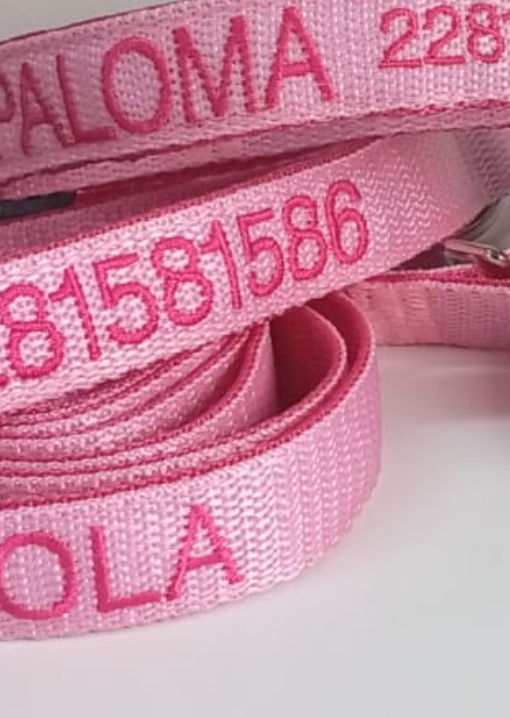 Collar Cinta Perro