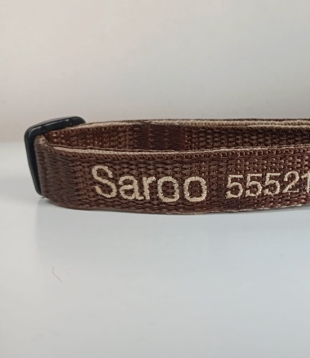 Collar Cinta Perro