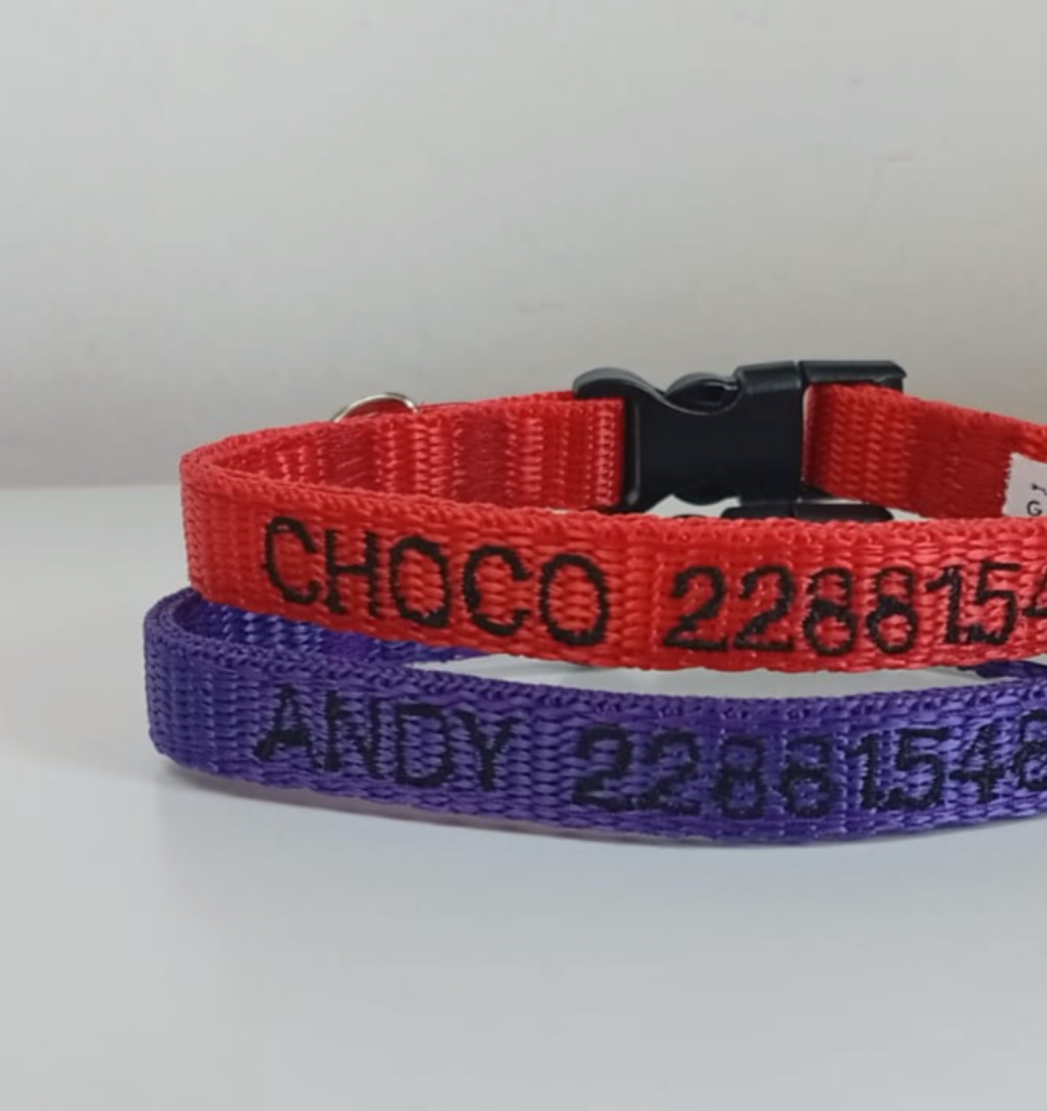 Collar Cinta Mini Perro