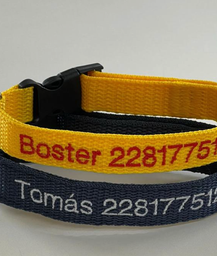 Collar Cinta Mini Perro