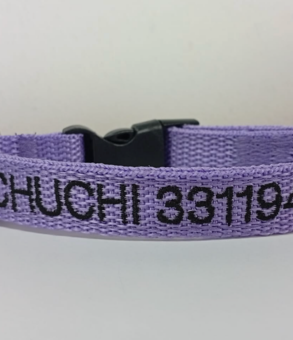 Collar Cinta Mini Perro