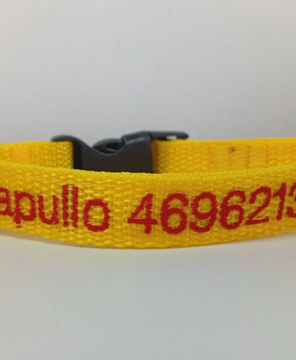 Collar Cinta Mini Perro