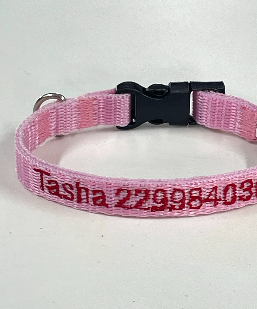 Collar Cinta Mini Perro