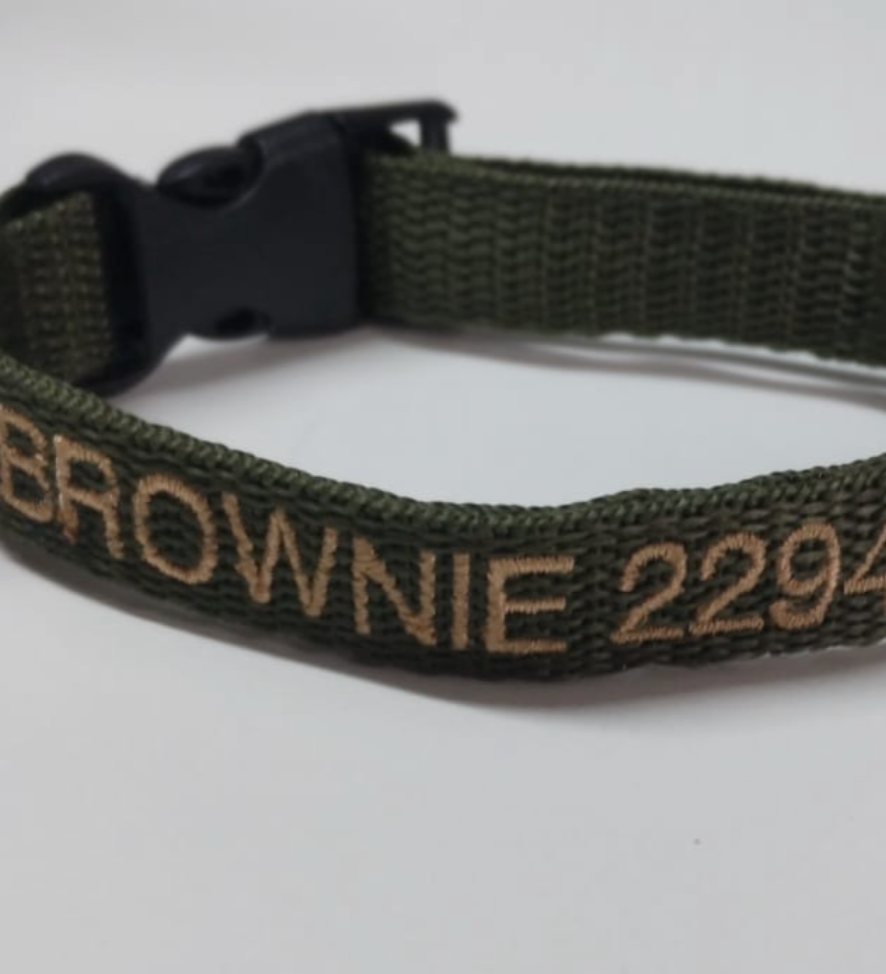 Collar Cinta Mini Perro