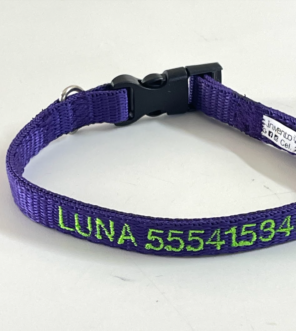 Collar Cinta Mini Perro