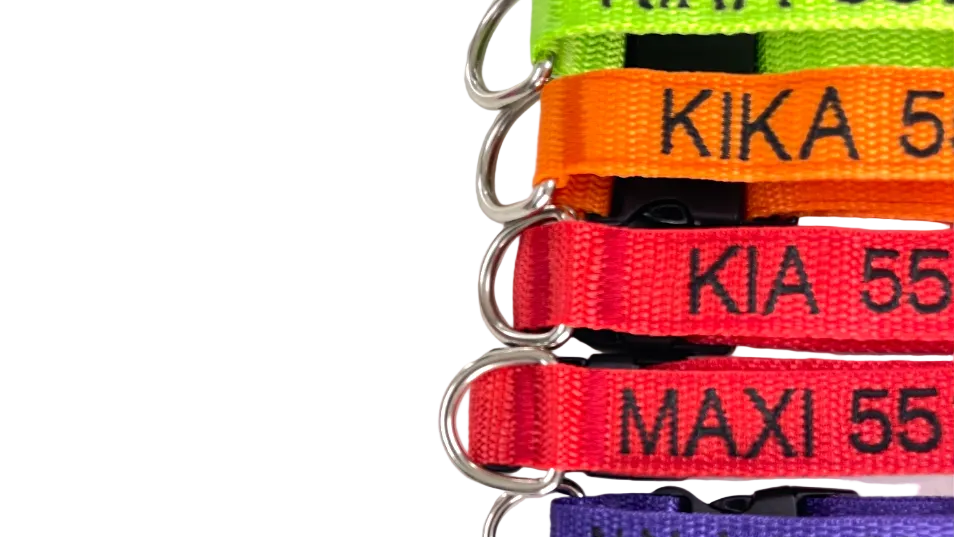 Collar Cinta Perro