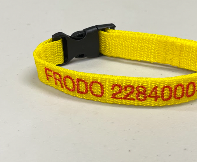 Collar Cinta Mini Perro