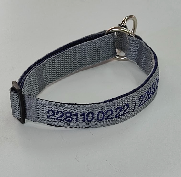 KIT Forzza Perro - Collar + Correa + Envío de Regalo